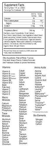 Wellgenix Wellgenix Balanced Essentials Plus New Formula - Berry Flavor 32oz (Pack of 2) - Liquid Vitamin - Complete Multivitamin Supplement - Immune Boosting & Overall Health - Adults, Kids, Toddlers