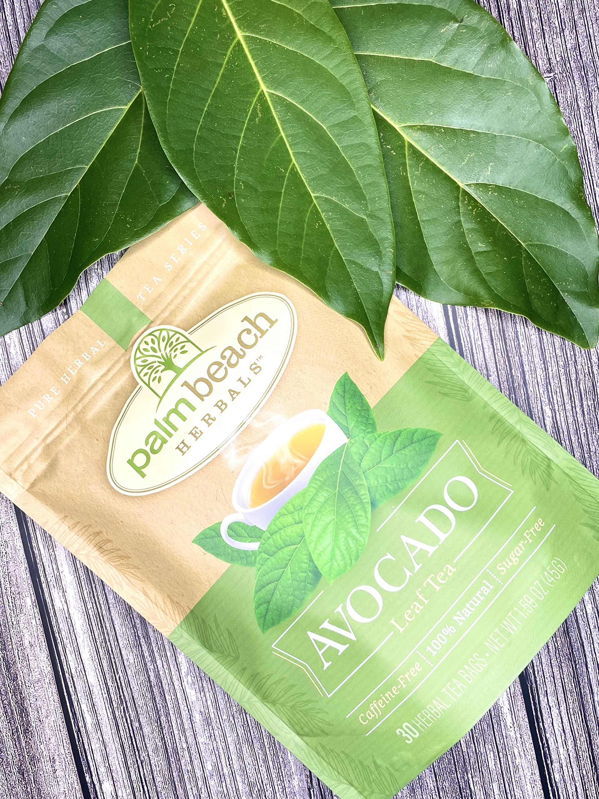 Palm Beach Medicinal herbs Avocado Leaf Tea by Palm Beach Herbals, 30 Count Tea Bags, Caffeine-Free | Pure Herbal Tea Series