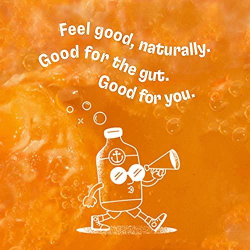 Health-Ade Health-Ade Kombucha Tea Organic Drink, Fermented Tea with Living Probiotics, Detoxifying Acids, Supports Gut Health, Non-GMO, Vegan, Gluten Free, 12 Pack (16 Fl Oz Bottles), Paradise Variety Pack