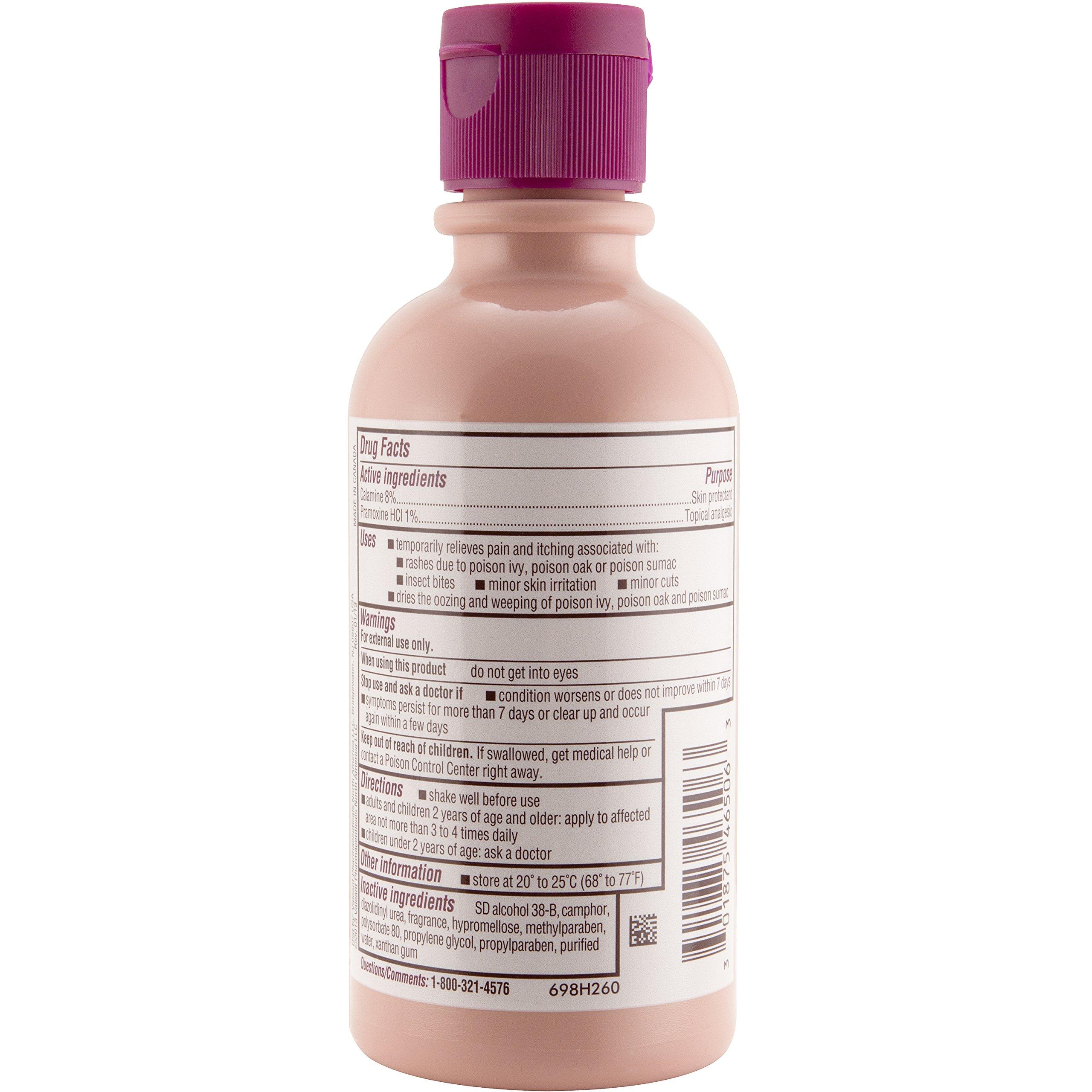 Caladryl Caladryl Calamine Lotion, Skin Protectant Plus Itch Relief, 6 Fl Oz (Pack of 2)