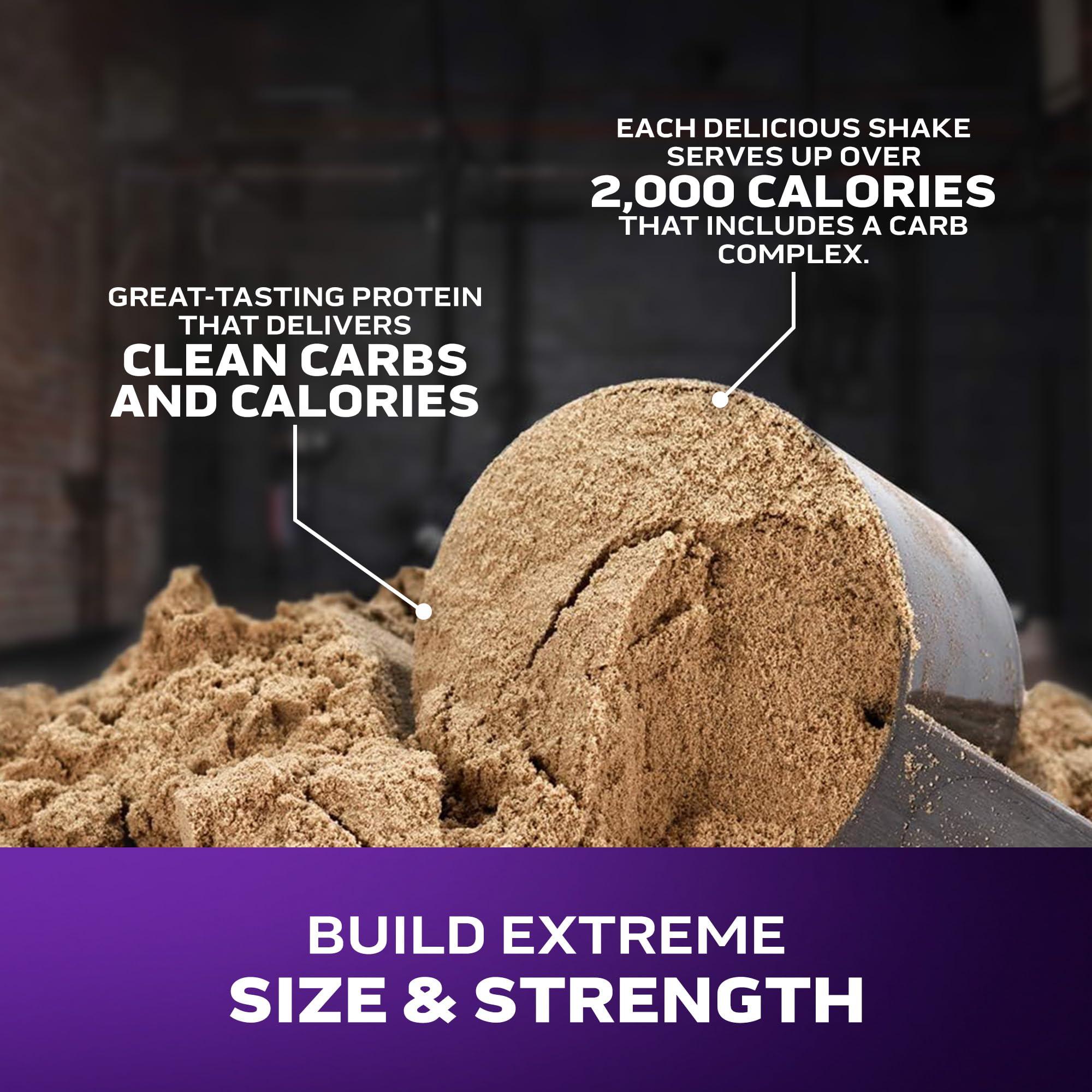 MuscleTech Muscletech High-Protein Mass Gainer (Vanilla Milkshake, 6LB) - Mass Tech Extreme 2000 Mass Gainer Protein Powder Supplement - Weight Gainer for Increase Muscle, Enhanced Recovery & Strength