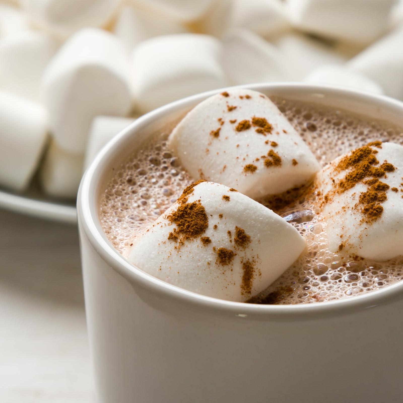 STEPHEN\'S Stephen\'s Gourmet Hot Cocoa, Candycane Cocoa Milk, 14 OZ (Pack of 6)