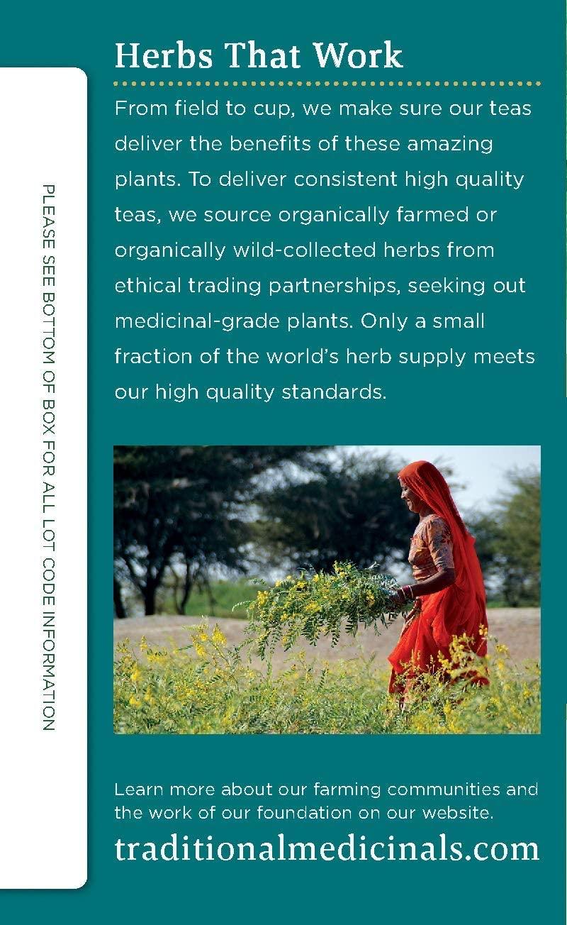 Traditional Medicinals Traditional Medicinals Organic Peppermint Delight Probiotic Tea Supports Healthy Digestion (16 Count (Pack of 6))