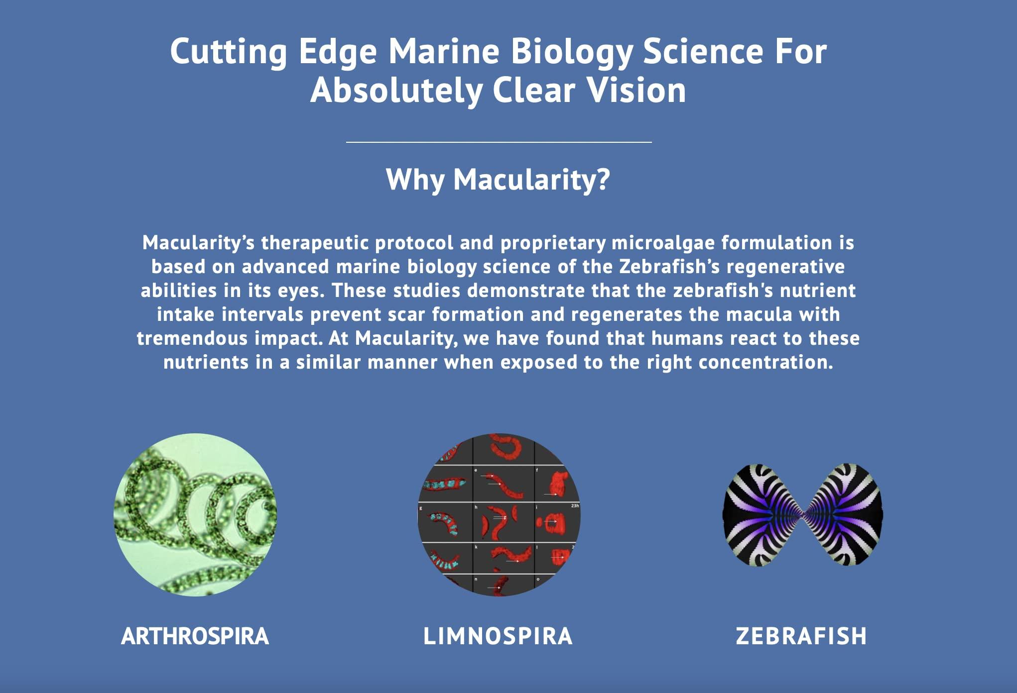 Lindt New Lindt Classic Vegan Salted Caramel, 100g