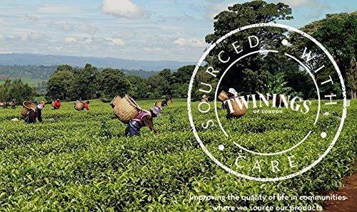 Twinings Twinings Decaf Earl Grey K-Cup Pods for Keurig, Decaffeinated Black Tea Flavoured with Citrus and Bergamot, 24 Count