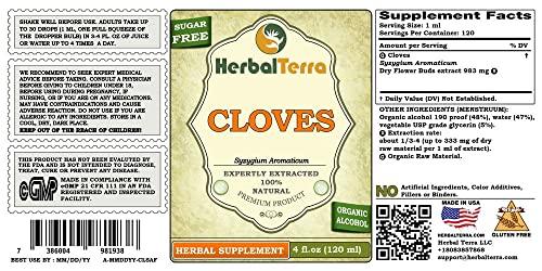 Herbal Terra LLC Cloves (Syzygium Aromaticum) Tincture, Organic Dried Flowers Buds Liquid Extract (Brand Name: HerbalTerra, Proudly Made in USA) 4x4 fl.oz (4x120 ml)