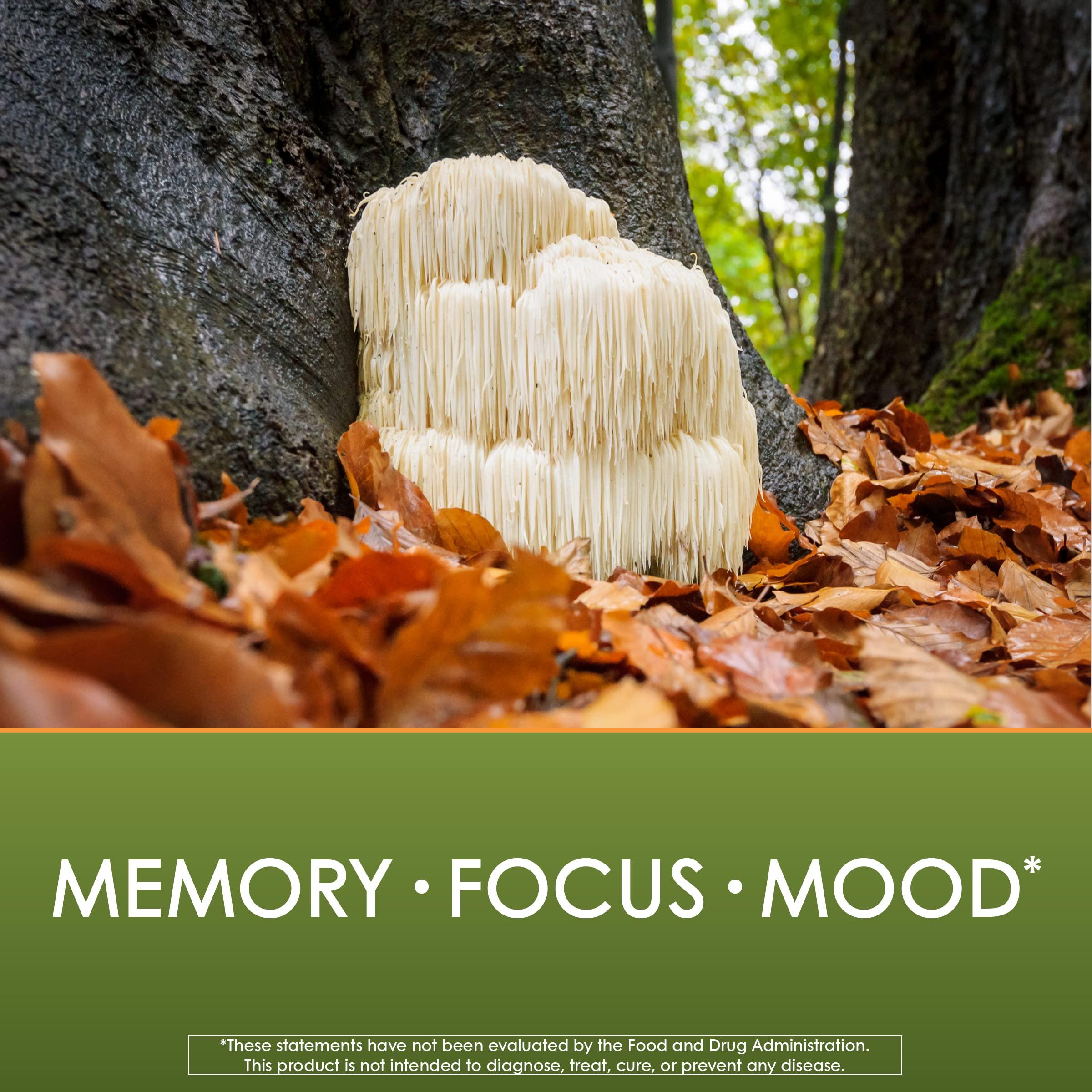 Pop Secret Pop Secret Double Butter Popcorn, 19.2 oz