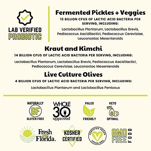 Olive My Pickle Real Fermented & Probiotic Sauerkraut for Gut Health - BIG FERMENT BUNDLE (6 PACK) by Olive My Pickle