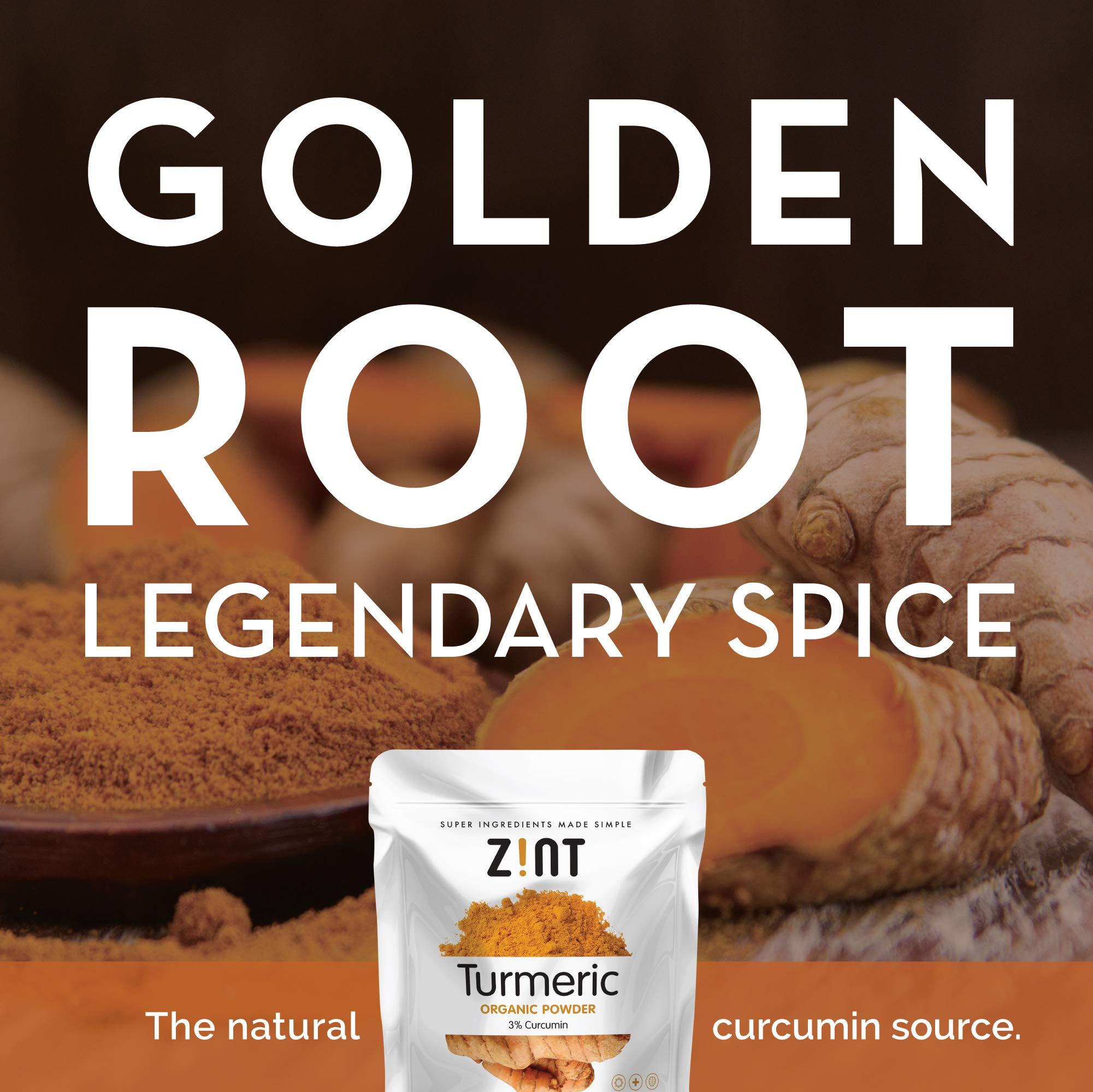 Zint Turmeric Powder : Organic Indian Spice - Lab Tested Raw Natural Whole-Food Curcumin Supplement - Antioxidant, Non-GMO, USDA Certified,32 Oz