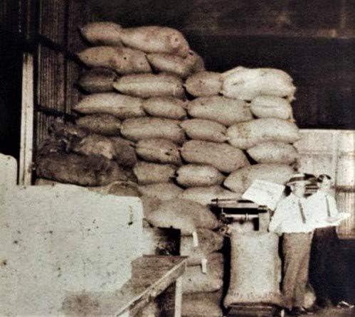 Caf Rico Cafe Rico Ground Coffee Espresso Medium Dark Roast 8.8 Ounce (Pack of 2)