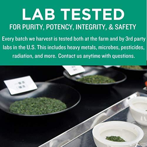 Jade Leaf Matcha Jade Leaf Culinary + Ceremonial Matcha Bundle - Organic Matcha Green Tea Powder Culinary Pouch (100g) and Ceremonial Pouch (30g)