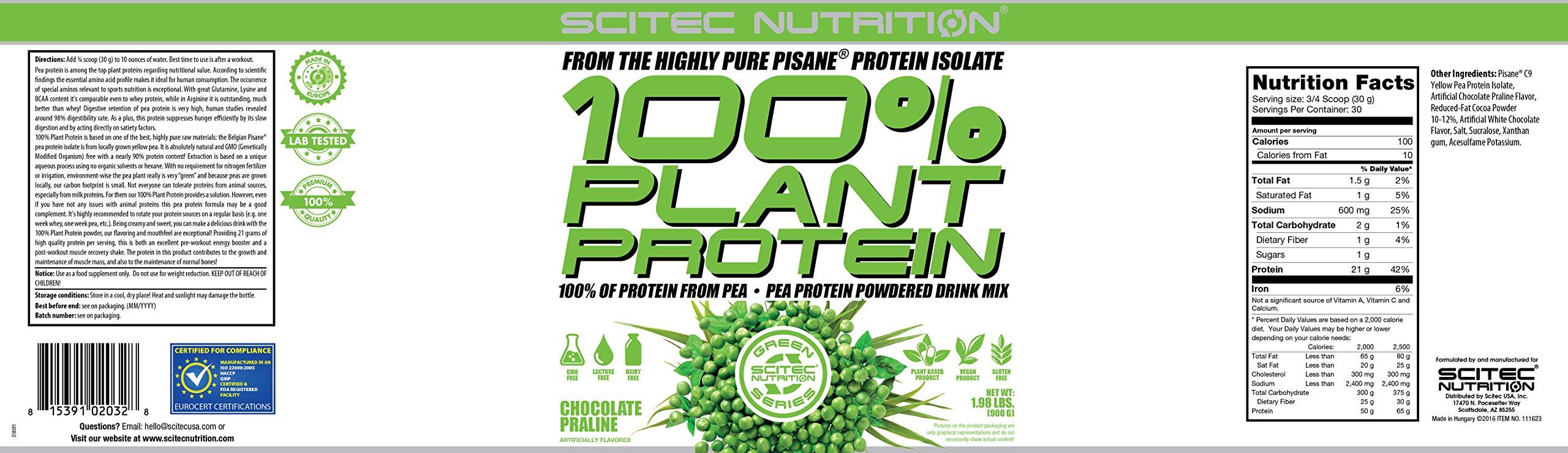 Scitec Nutrition Scitec Nutrition 100% Plant Protein - 1.98 Pound, Chocolate Praline (Vegan, Vegetarian)