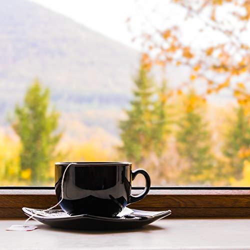 The Spice Hut Genmaicha Green Tea with Toasted Roasted Brown Rice, Loose Leaf Green Tea - Caffeinated | bulk 8oz, 80-100 cups | The Spice Hut, First Sip of Tea