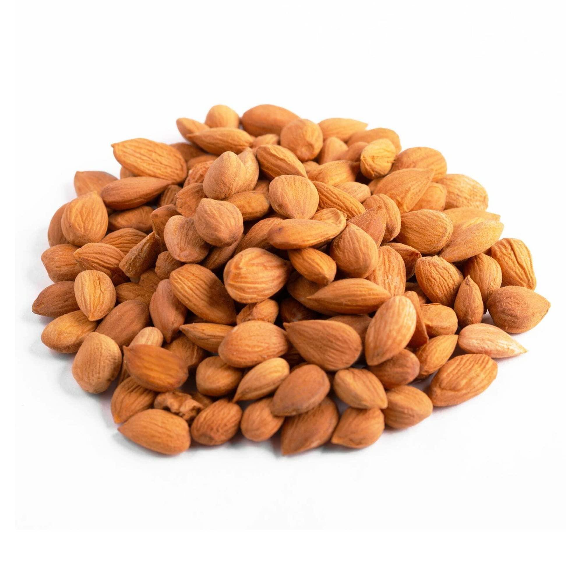 NY SPICE SHOP NY SPICE SHOP Sweet Raw Apricot Seed - 1 (Pound) Sweet Apricot Kernels - Apricot Seeds - Sunfood Apricot Kernels - Seed Apricot - Apricot Seeds Raw - Apricot Kernals – Great source of Vitamin