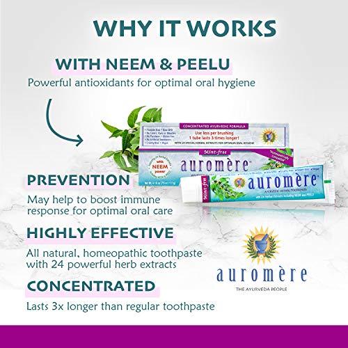 Auromere Auromere Ayurvedic Herbal Toothpaste, Mint Free - Vegan, Natural, Non GMO, Fluoride Free, Gluten Free, with Neem & Peelu (4.16 oz), 1 Pack