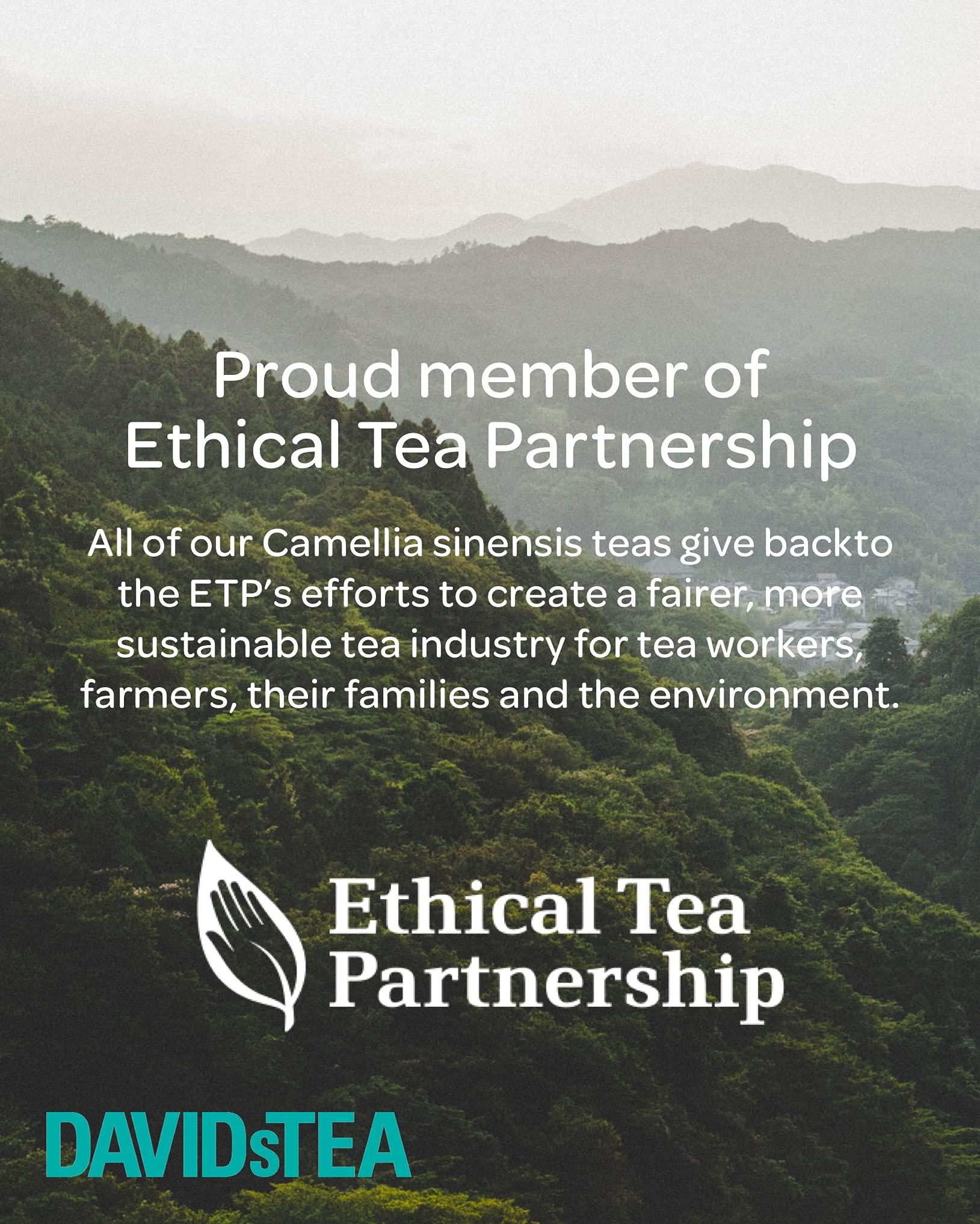 DAVIDsTEA DAVIDsTEA Organic Japanese Sencha Sachets Tea Bags, Premium Green Tea in 65 Sachet Tea Bags, 97.5 g / 3.43 oz