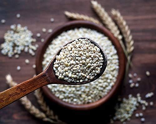 Food to Live Pearl Barley, 20 Pounds Processed Hulled Barley, Cereal Grain, Kosher, Vegan, Bulk. Cooks Faster than Hulled Barley. High in Fiber. Great for Soups, Risottos. Product of the USA