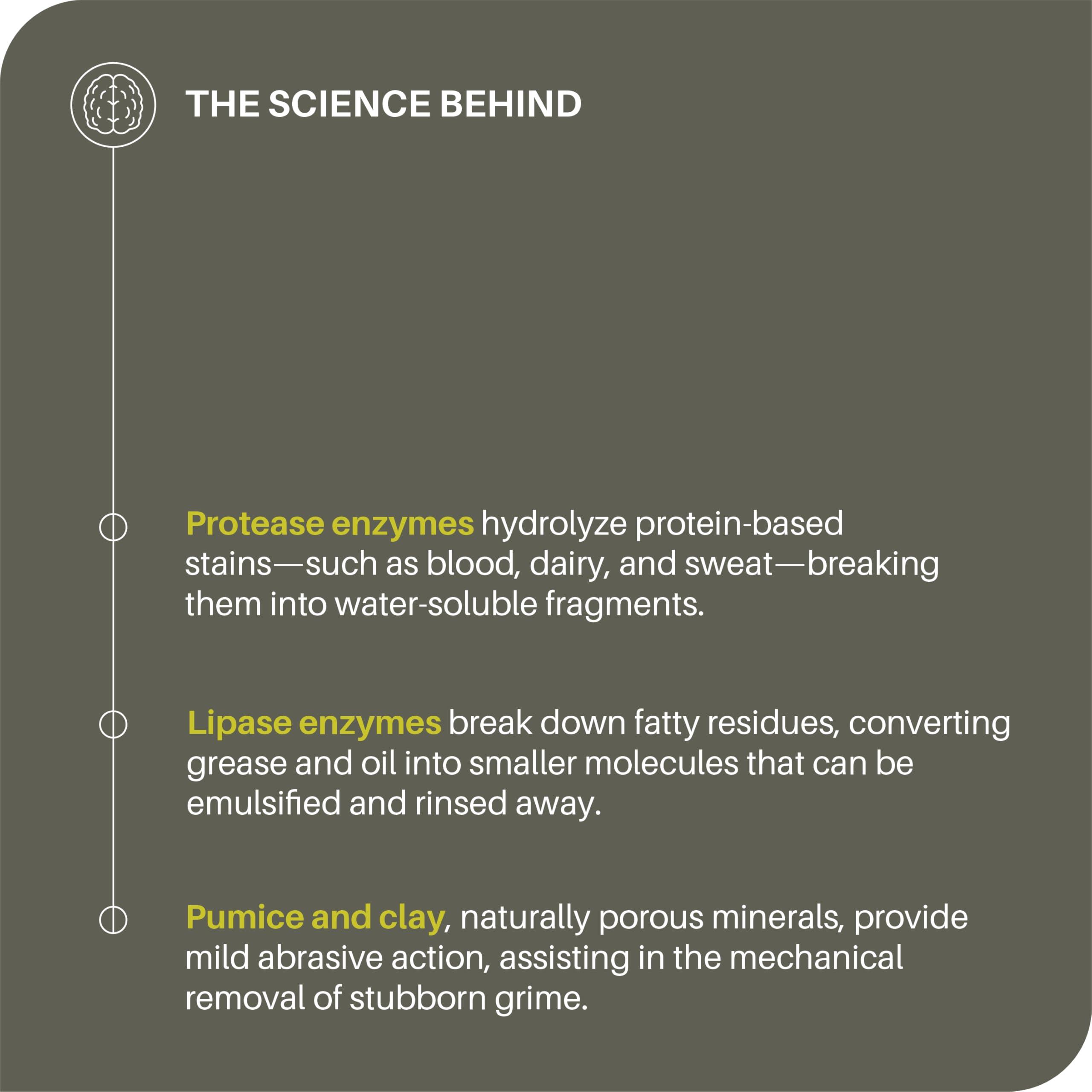 Everneat Everneat Oven Scrub (16oz): Natural Oven Cleaner and Kitchen Cleaner | Heavy Duty Oven Cleaner & Oven Rack Cleaner Kit | Fume-free & Safe to Clean All Ovens (Unscented)