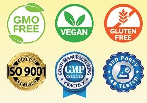 CellFend Fermented Wheat Germ Extract - Cellular Health - Autophagy Inducer - Potent 30:1 Extract - 60 Vegan Capsules (500mg)