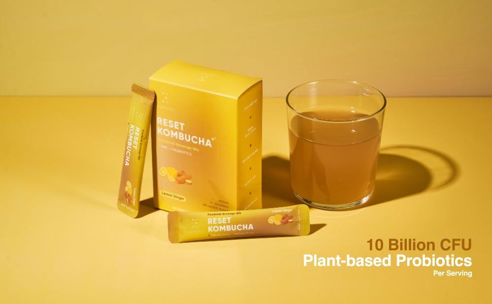 E EVERYDAZE Everydaze Reset Kombucha Tea Powdered Beverage Mix | 10 Sticks | Prebiotics + Probiotics | Vegan | No Added Sugar, Gluten Free, Sparkling Powder Drink Pack (Lemon Ginger)