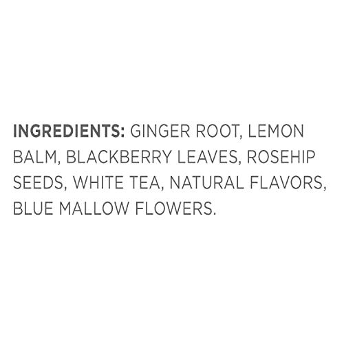 Tea Forte Tea Forte Iced Ginger Pear White Tea Over Ice, Pitcher-Size Iced Black Infusers, 5 Count (Pack of 1)