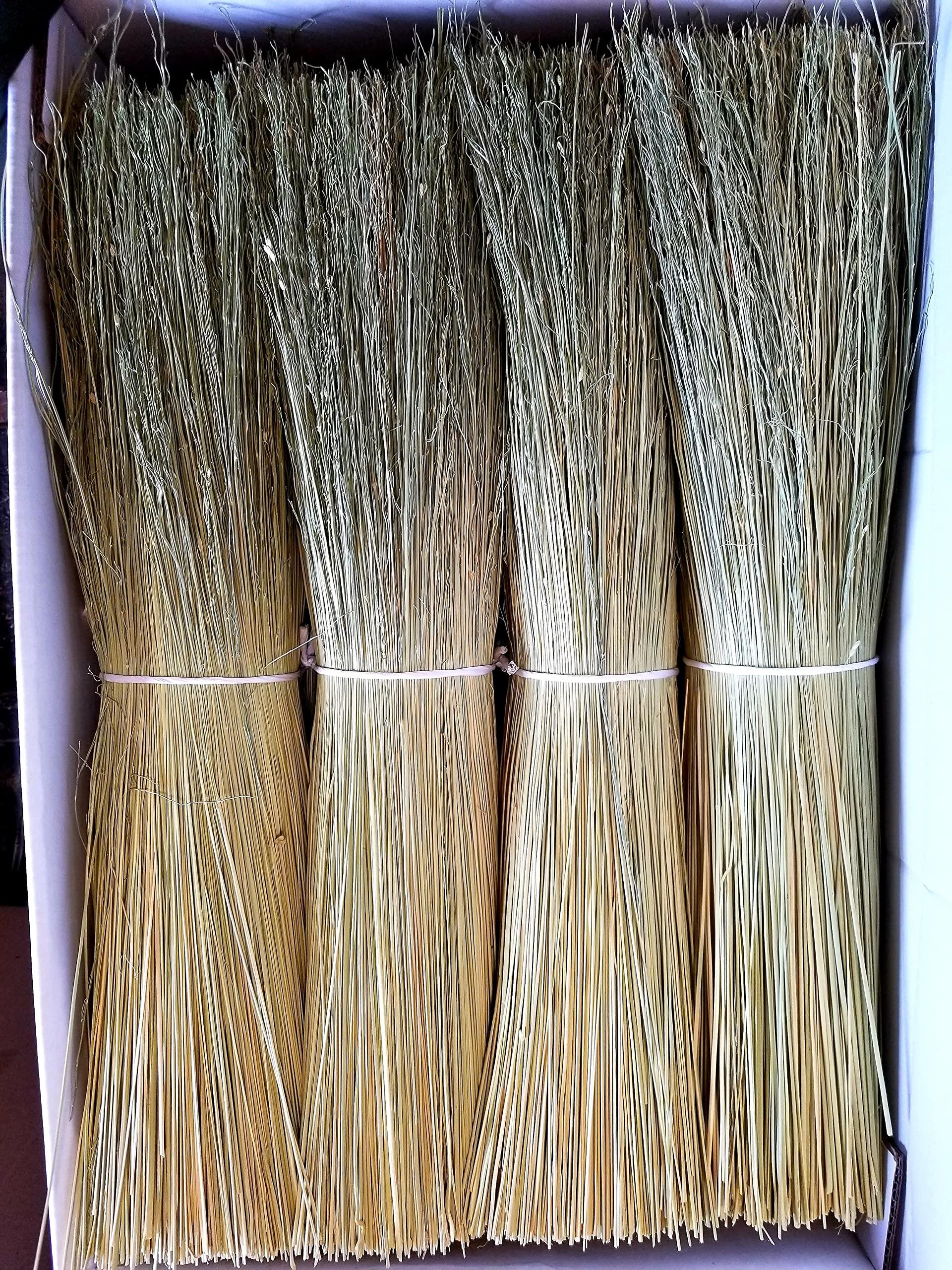 Parker Homestead Broom Corn for Crafting and Broom Making 10 Pound Bundle 20\" Length (Broom Corn)