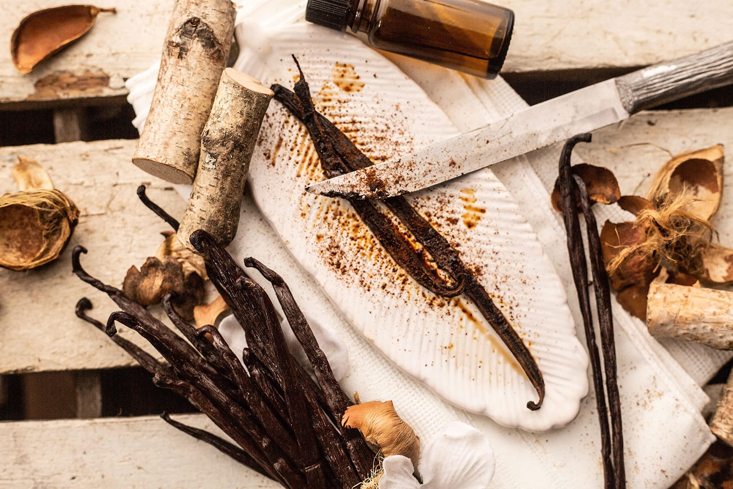 Vanilla Bean Kings 10 Mexican Vanilla Beans Whole Grade A Gourmet Vanilla Pods for Homemade Vanilla Extract and Baking from Veracruz, Mexico