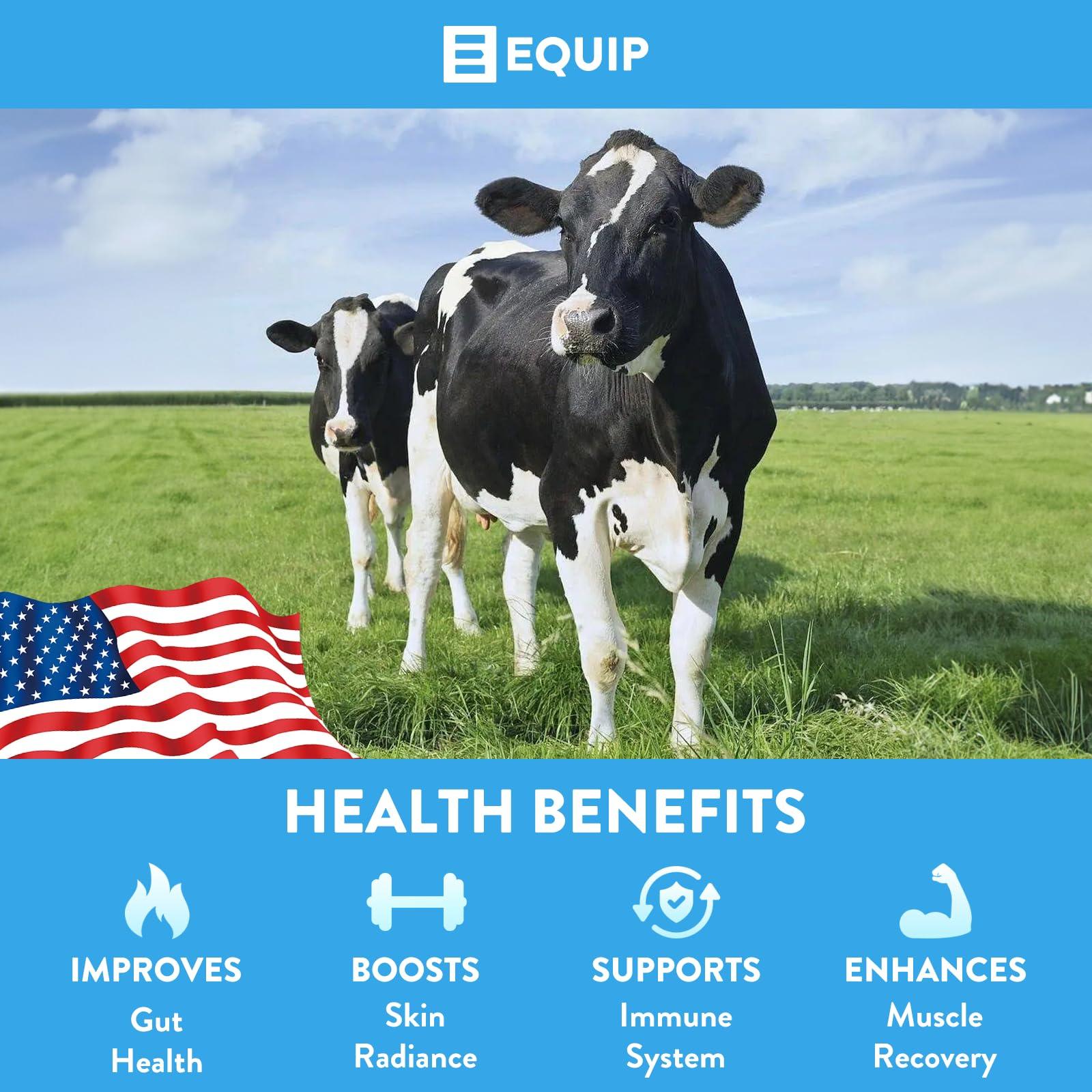 Equip Equip Foods Core Colostrum | Grass Fed Colostrum Powder 3,000mg | Gut Health, Immunity, Recovery | Lactoferrin Supplements | Keto Friendly Colostrum Supplement | 30 Servings, Unflavored