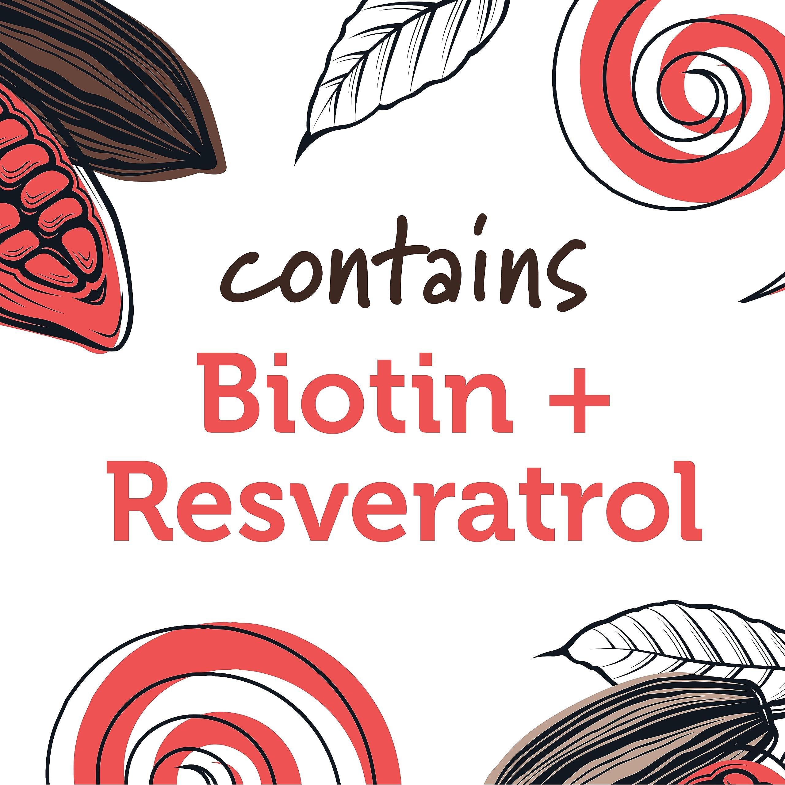 NaturGeeks NaturGeeks Vegan Protein Bars - Gluten-Free, Plant-Based Non-Dairy Healthy Snacks with No Added Sugar, Vitamins, Biotin & 15g High Protein for Meal Replacement Chocolate Caramel Crisp (12 Count)