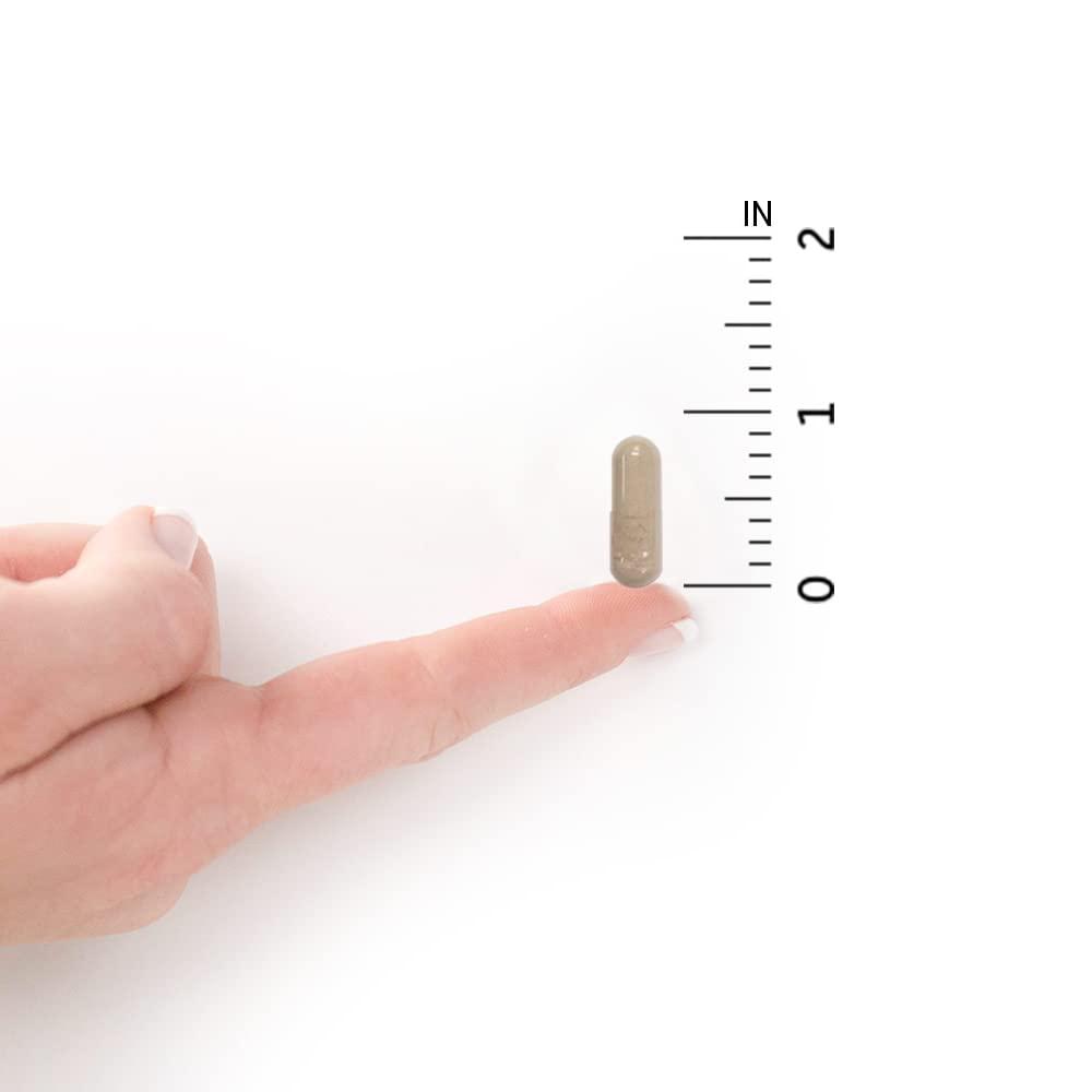 Garden of Life Vitamin Code Raw Iron 30ct Capsules