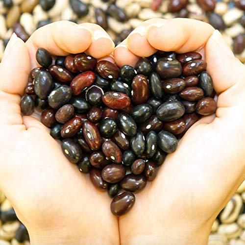 Beanitos Beanitos Black Bean Chips with Sea Salt, The Healthy, High Protein, Gluten free, and Low Carb Vegan Tortilla Chip Snack, A Lean Bean Protein Machine for Superfood Snacking At Its Best, 5 Ounce