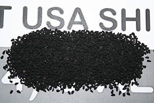 GREENandORGANIC BLACK CUMIN SEED Blackseed Herb NIGELLA SATIVA Whole Seeds 1 Lb/ 16oz Indian Spice Kalonji Habbatul Baraka (the Blessed Seed) by GREENandORGANIC