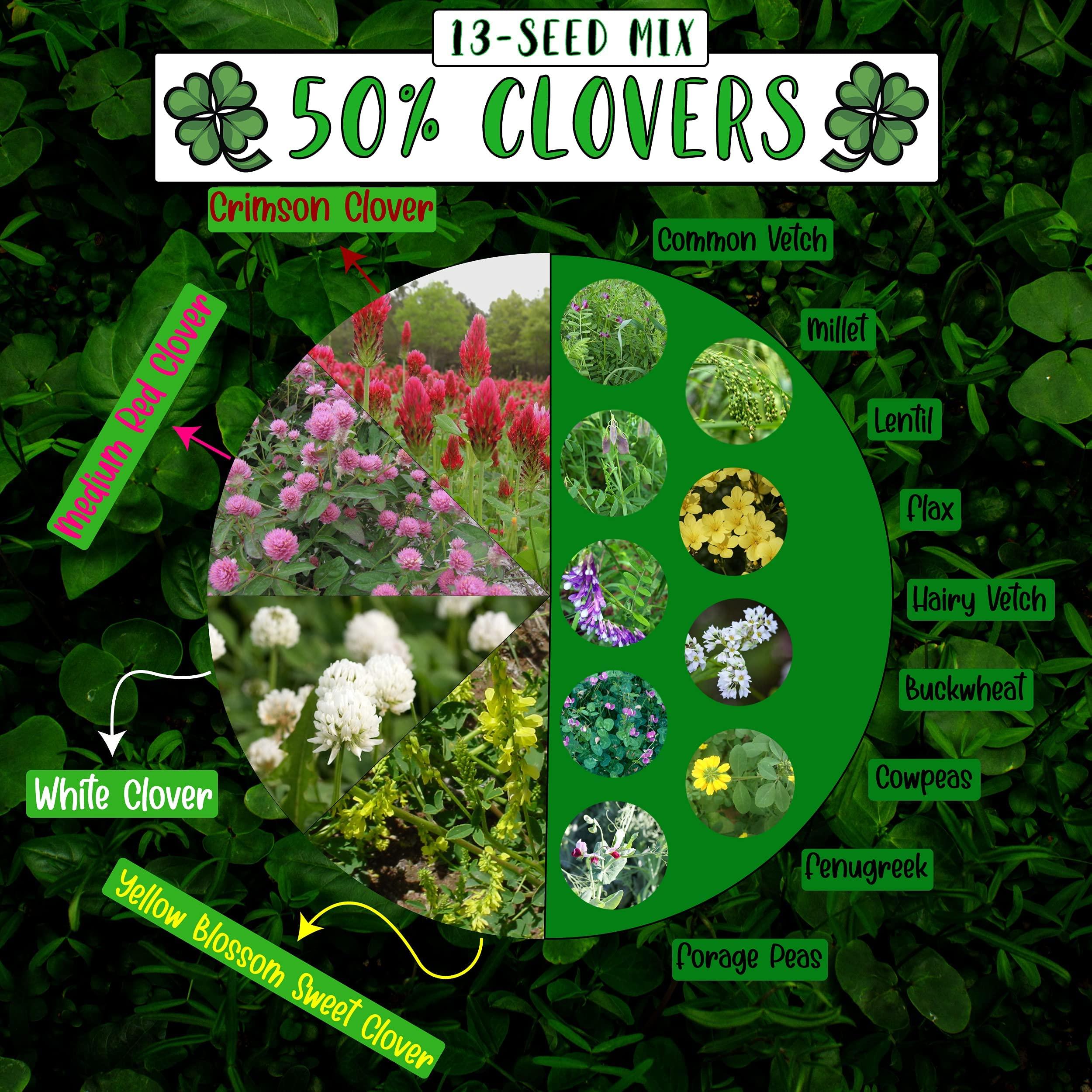 No-Till Solutions No-Till Cover Crop 13-Seed Mix: 50% Clovers Plus Fenugreek, Vetch, Flax, Cowpeas, Buckwheat, Forage Peas, Millet, Lentils (5-lb. Bag (Five Pound)