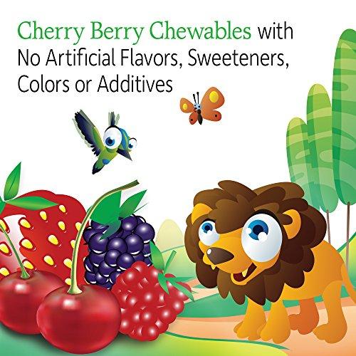 Garden of Life Garden of Life Vegetarian Multivitamin Supplement for Kids - Vitamin Code Kids Chewable Raw Whole Food Vitamin with Probiotics, 30 Chewable Bears