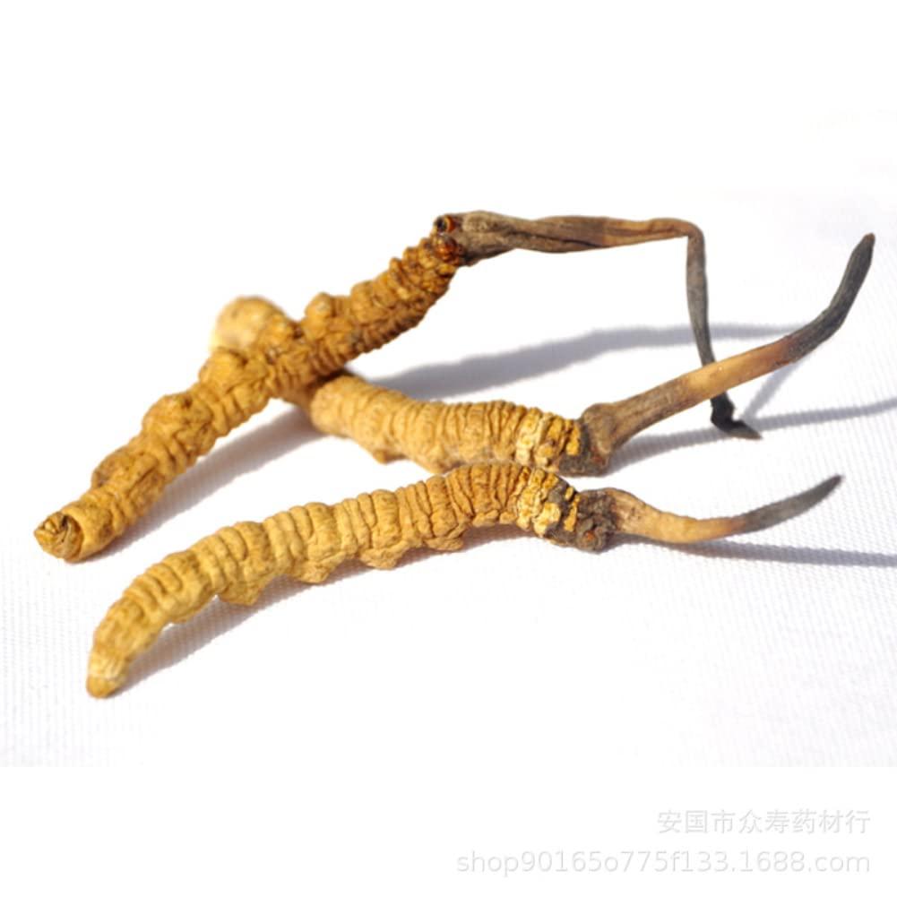 Generic Wild Himalayan Cordyceps Sinensis 5 Grams Chinese Caterpillar Fungus Dong Chong Xia Cao Cordyceps Sinensis Wild Cordyceps.