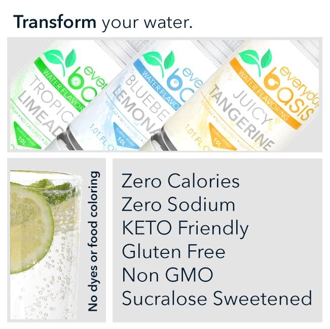 Everyday Basis Everyday Basis Water Flavoring Liven Up Your Water Great Taste Great Flavors Keto Friendly, 0 Calories No Dyes or Food Coloring (Citrus Variety Pack)