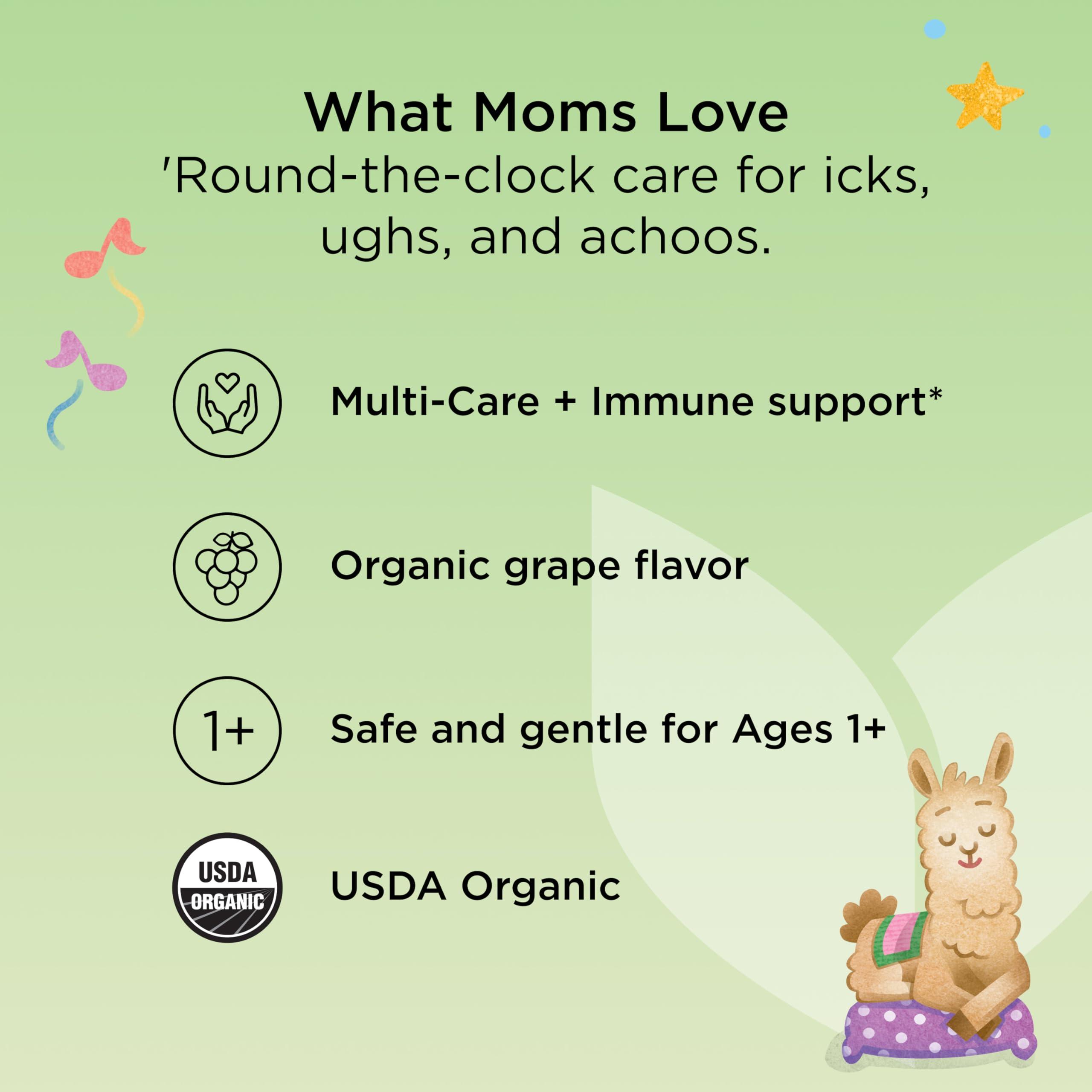 Hyland\'s Hyland\'s Kids Organic All-in-One Grape Cough Syrup Day & Night, Two 4 Ounce Bottles