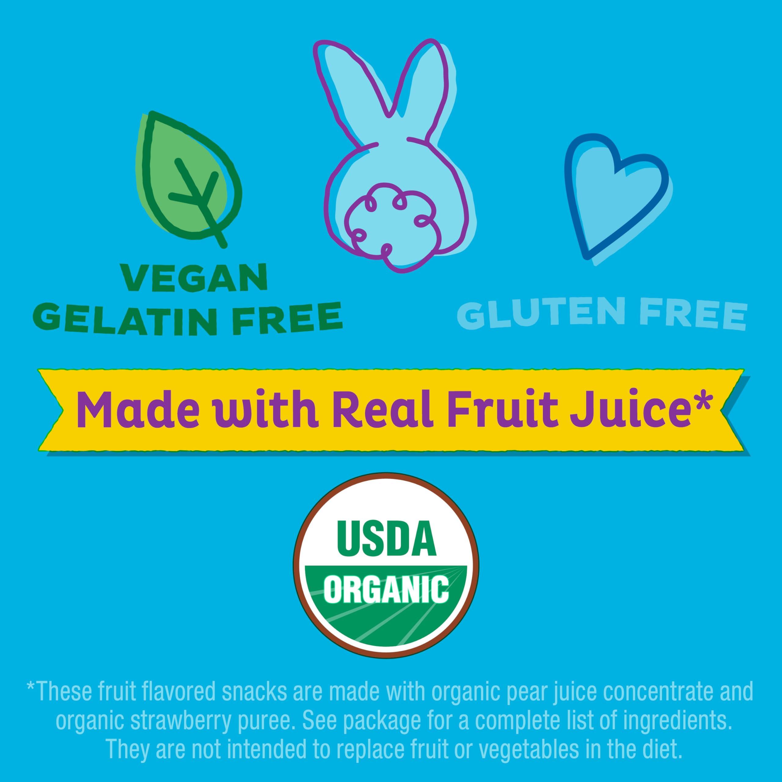 Annie's Homegrown Annie\'s Organic Fruit Tape, Swirly Strawberry and Bendy Berry Flavors, Variety Pack, 12 Rolls, 9 oz