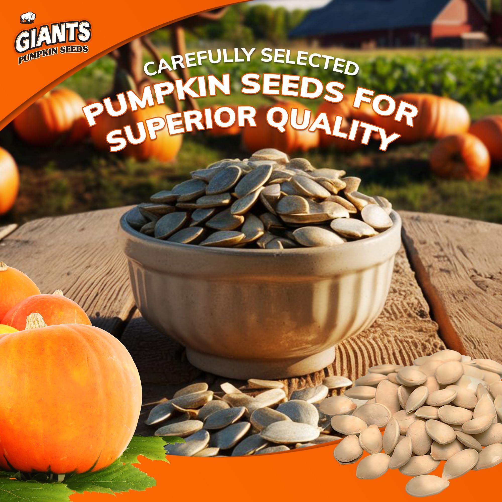 GIANTS SUNFLOWER SEEDS GIANTS Pumpkin Seeds - Pumpkin Seeds in Shell, Pumpkin Seeds to Eat, Roasted and Salted, Whole Pumpkin Seeds with Shell, High Protein Snack with 15g Protein Per Serving - 5.15 oz (Pack of 2)