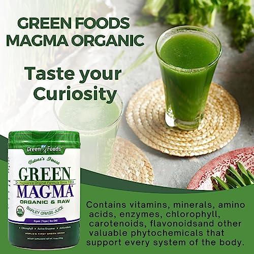 Worldwide Nutrition Worldwide Nutrition Green Foods, Green Magma Organic, Digestive Enzymes, Fiber Supplement & Whole Foods -10.6 Ounce Protein Powder Multi Purpose Key Chain