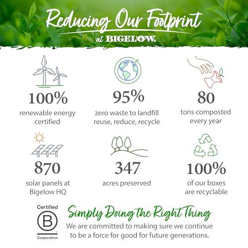 Bigelow Tea Bigelow Tea Green Tea with Ginger Plus Probiotics, Caffeinated, 18 Count, (Pack of 1), 108 Total Tea Bags