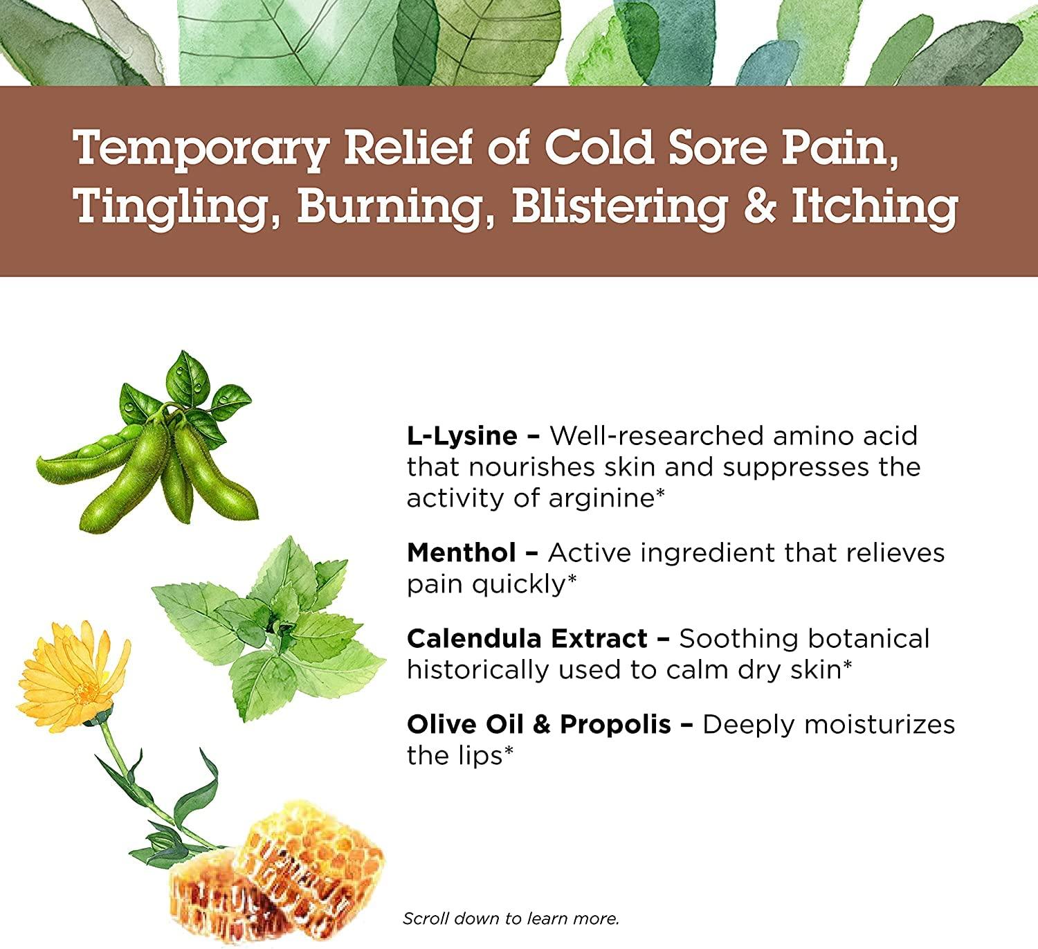 Quantum Research Lip Clear Lysine+ Cold Sore Treatment 0.25 oz ( Pack of 3)