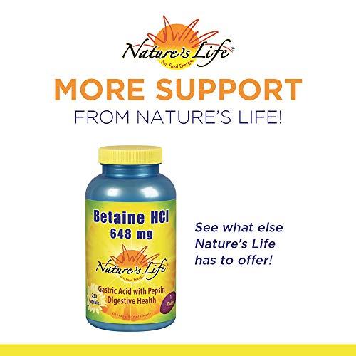 Nature's Life Nature's Life DGL Licorice Tablets, 380 Mg, Chewable, 100 Count