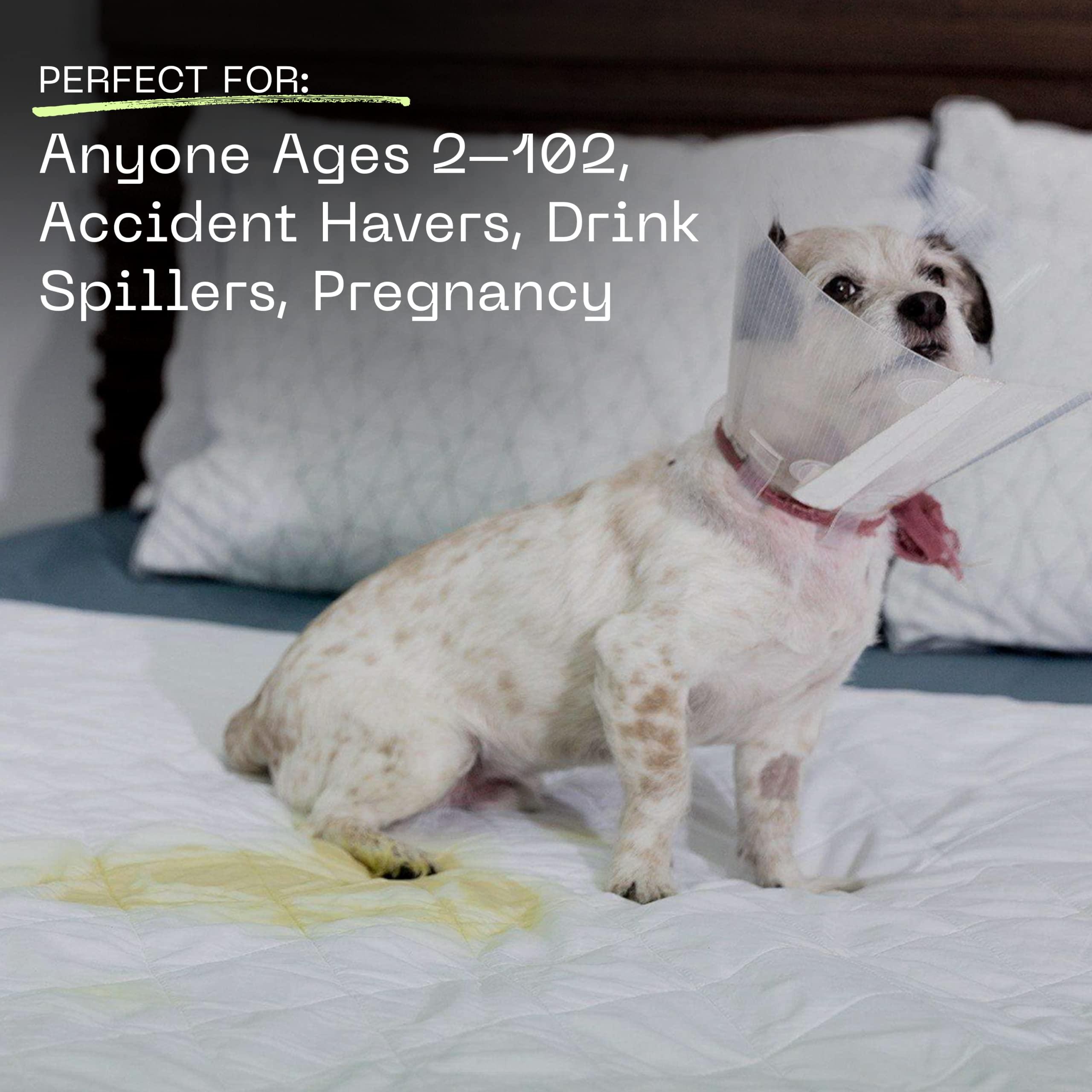 Coop Home Goods Coop Home Goods Waterproof Four Layer Bed Underpad for Incontinence, Queen, Washable Mattress Pad, Reusable Waterproof Mattress Cover, Bed Pads for Adults, Seniors, Children, Pets, Queen (60x39.5)