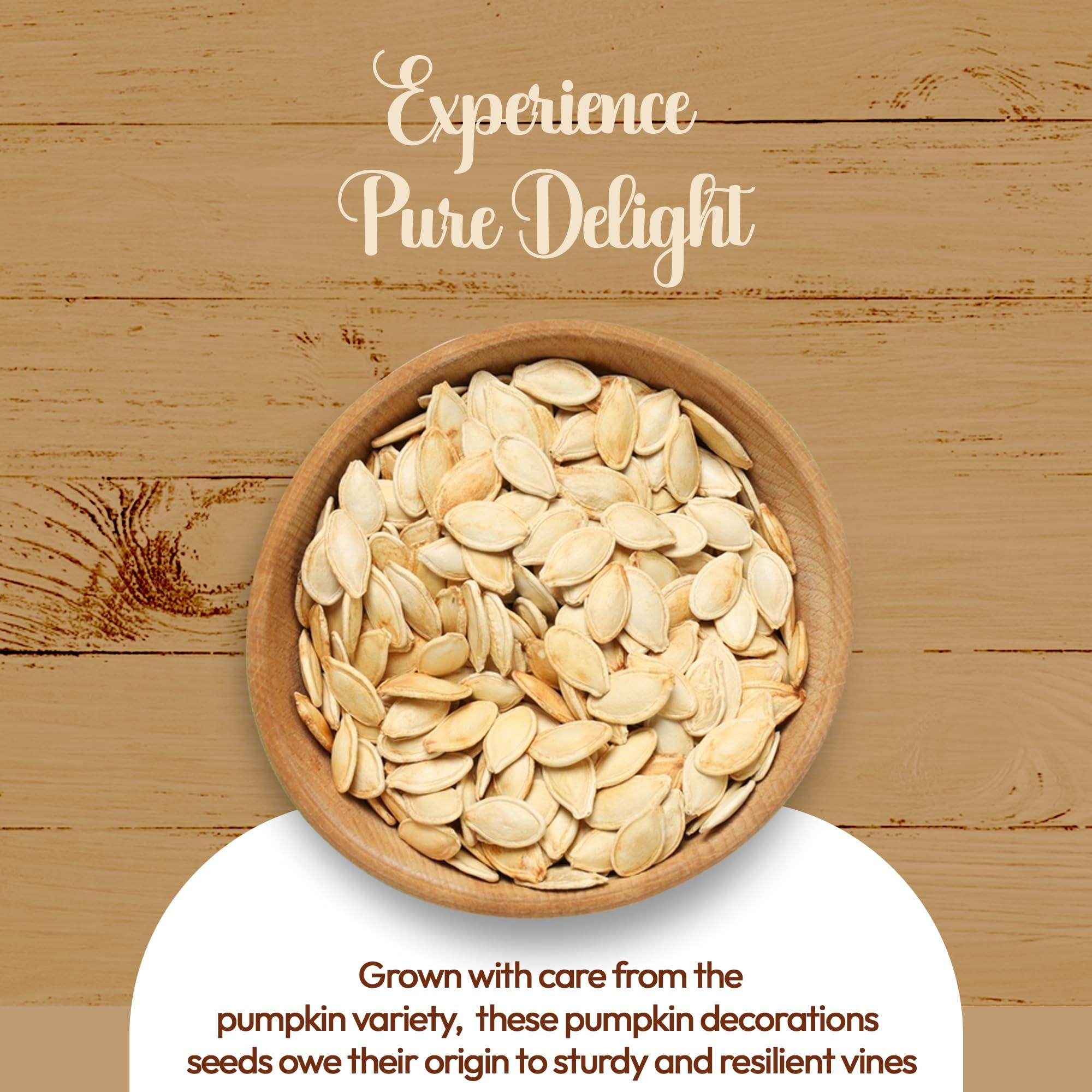 NY SPICE SHOP NY SPICE SHOP Lady Nail Pumpkin Seeds - 1 Pound Pumpkin Seeds to Eat - Raw Pumpkin Seeds - Pumpkin Seeds Roasted Salted - Pumpkin Seeds Fresh Natural - Pumpkin Seeds for Planting - Pumpkin Decor