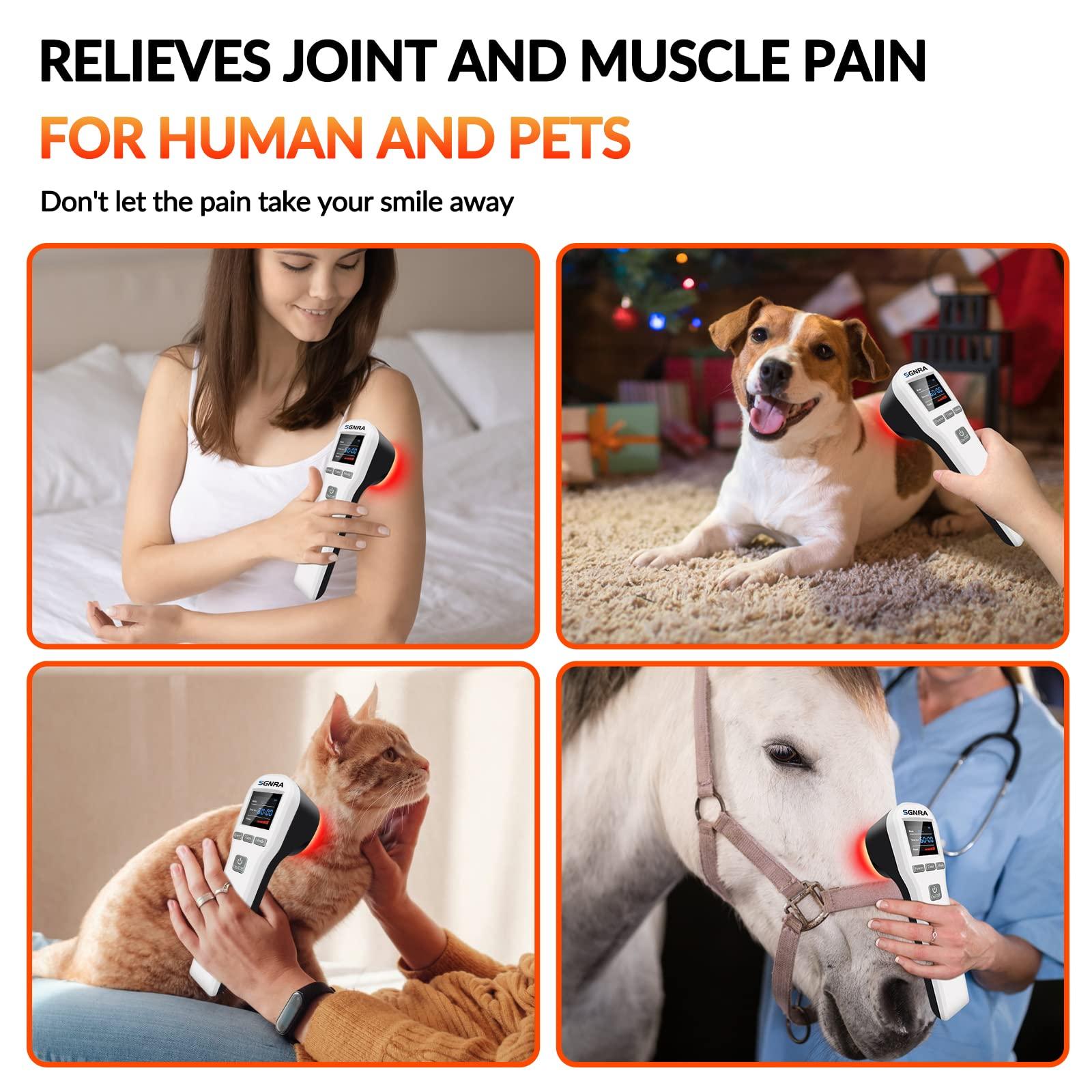 Evolve Etzels Bite Size Seasoned Pretzels, Clean Label, Non-GMO, No Corn Syrup, No MSG, 0-2g Added Sugar, Pure Natural Flavor, Nothing Artificial (Single, Originally Original)