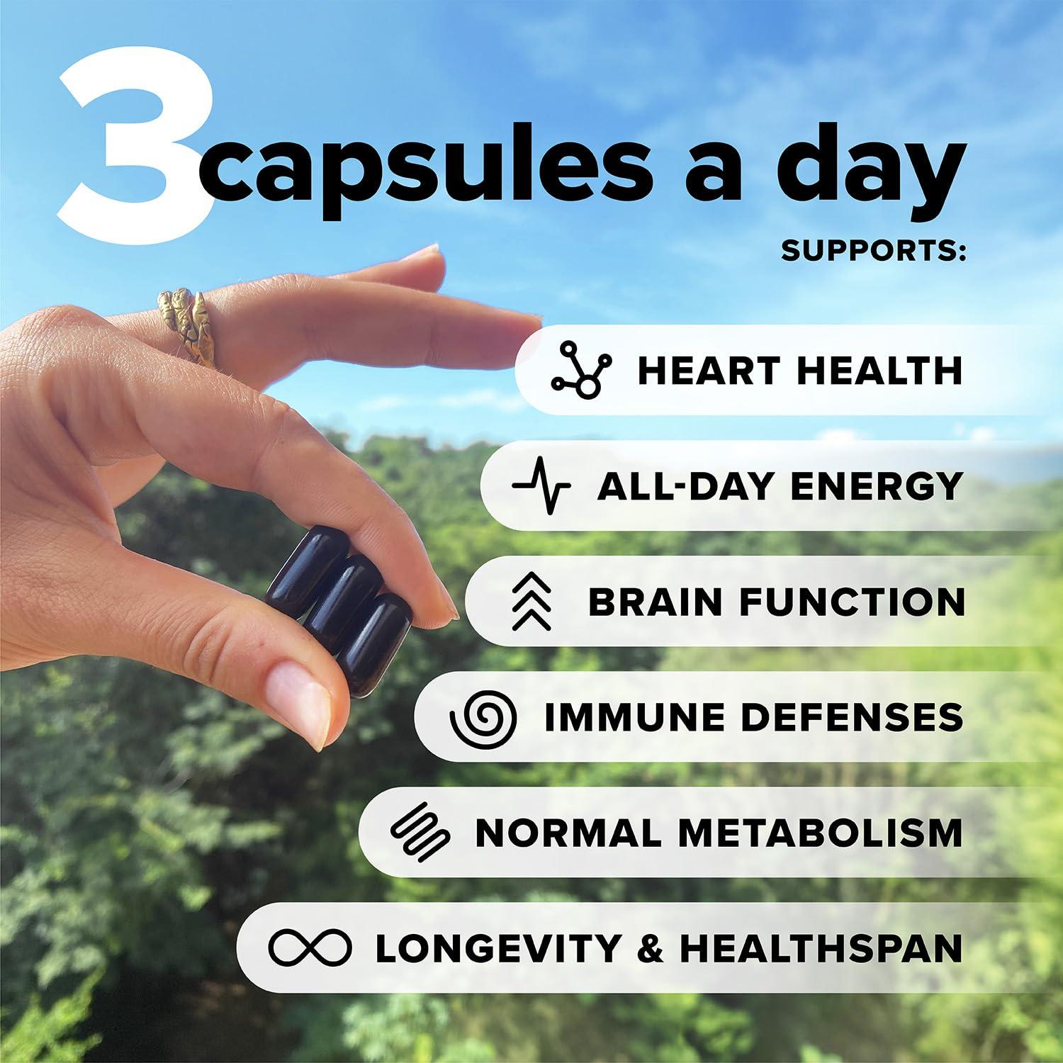 Complement Complement Essential Vegan Multivitamin + Triple B12 Spray Bundle