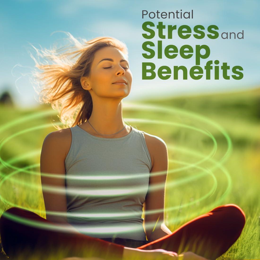 Z Natural Foods Z Natural Foods Premium Whole Milk Powder - Powdered Milk for Baking, Cooking, Drinks - Dry Milk Powder, Pasteurized, Non-GMO, Gluten-Free, Kosher-Certified, 55 lbs