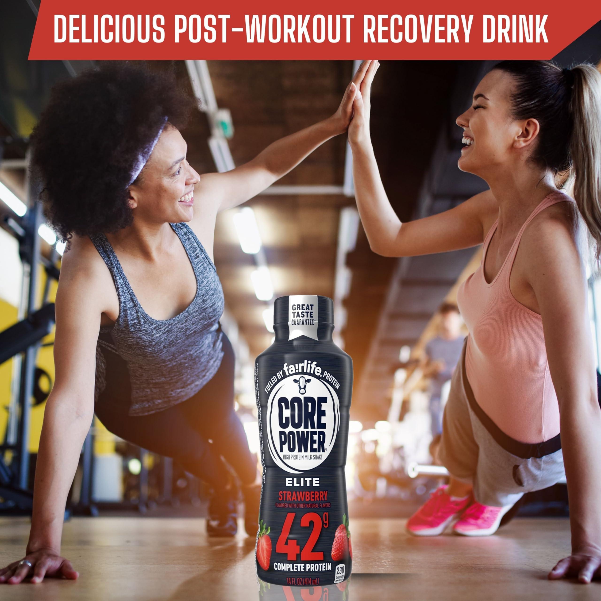 Worldwide Nutrition Worldwide Nutrition Bundle: Fairlife Core Power Elite 42g High Protein Milk Shake - Kosher, Strawberry Protein Shake for Workout Recovery - 14 Fl Oz (Pack of 12) & Multi-Purpose Key Chain