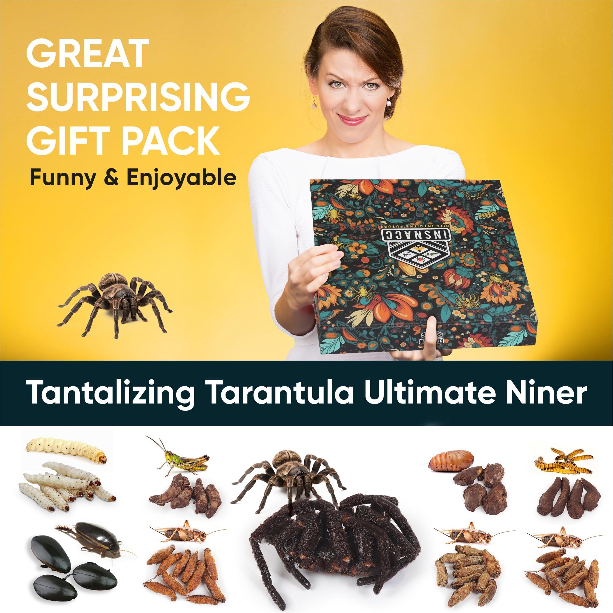 Insnacc White Elephant Gifts For Adults - 2.26 Ounce Real Edible Flavored Insects For Humans, Funny Birthday Gifts, Weird Gifts (Tarantula & Assorted Bugs, Box of 9)